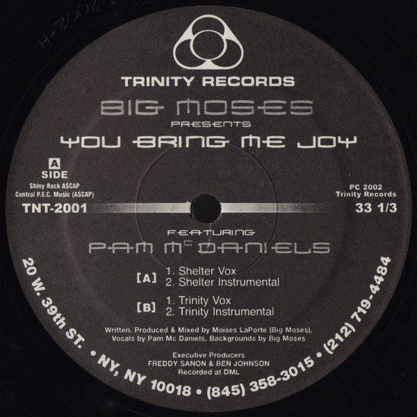 You Bring Me Joy Big Moses,Pam McDaniels