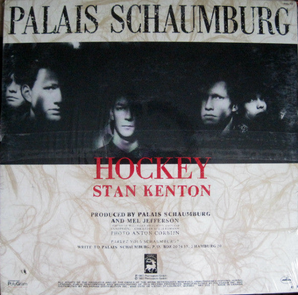 Hockey Palais Schaumburg