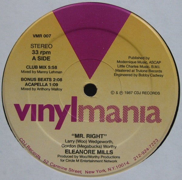 Mr. Right 2 Eleanore Mills