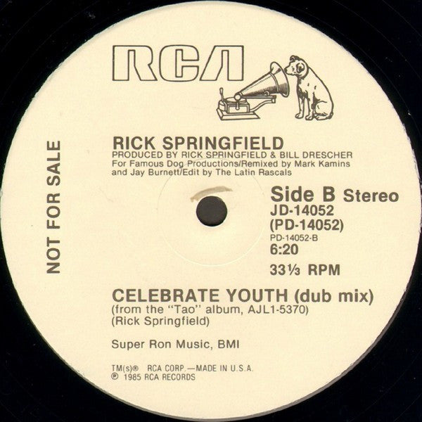Celebrate Youth Rick Springfield