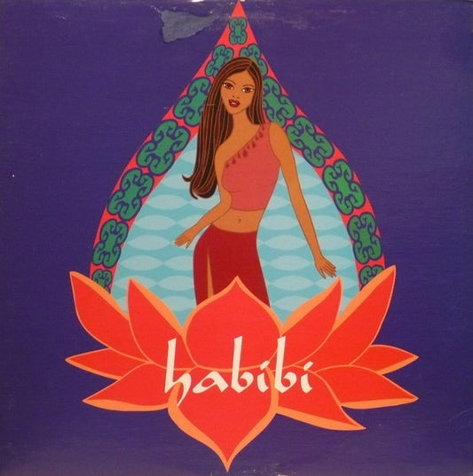 The Boomtang Boys - Habibi