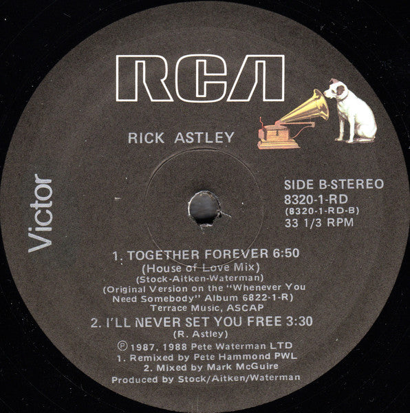 Together Forever Rick Astley
