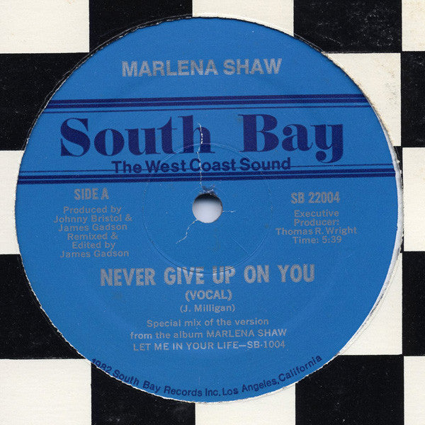 Never Give Up On You