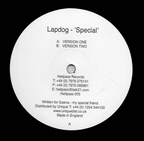 Special Lapdog