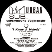 Close-up of the "I Know A Melody" album cover by Rectangle Triangle featuring colorful abstract artwork.