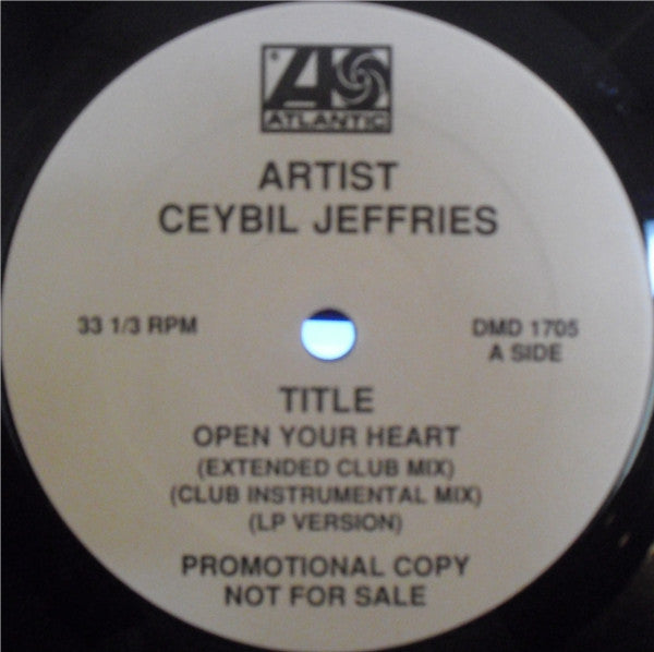 Open Your Heart Ceybil Jefferies