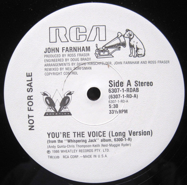 You're The Voice | Rectangle Triangle