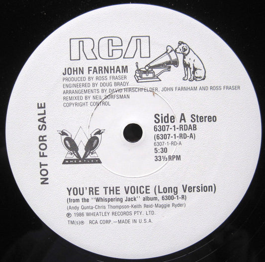 You're The Voice | Rectangle Triangle
