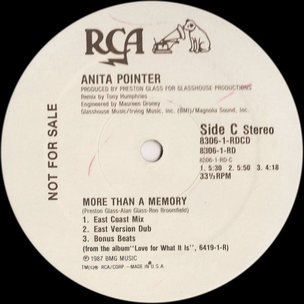 More Than A Memory Anita Pointer