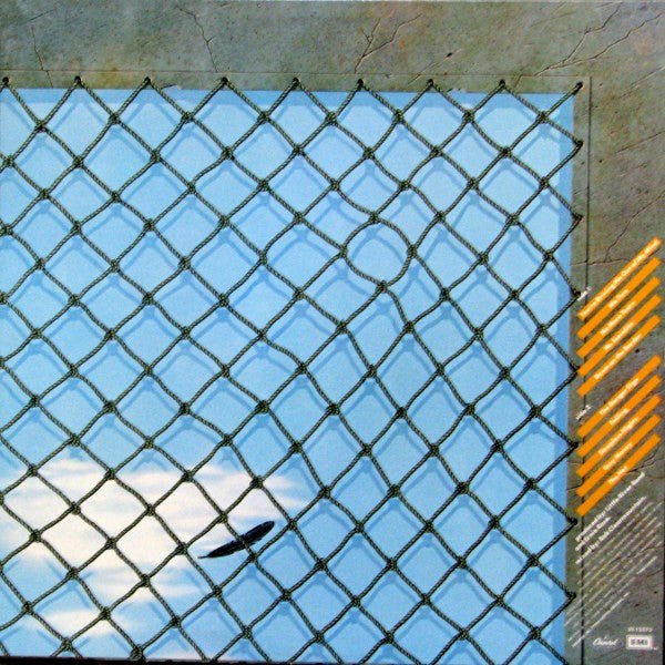 The Net Little River Band