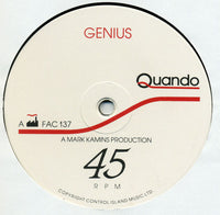 Close-up of a Genius brand rectangle triangle jigsaw puzzle piece with detailed interlocking edges.