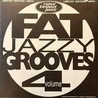 Rectangle Triangle Fat Jazzy Grooves 4 music album cover featuring vibrant jazz-inspired artwork and bold typography.