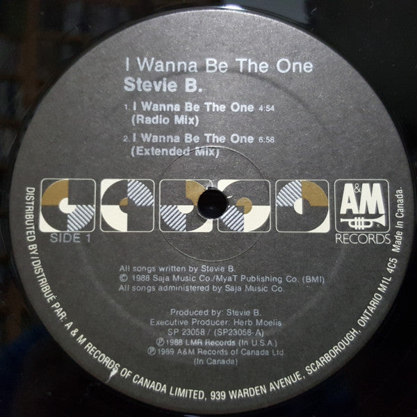 I Wanna Be The One