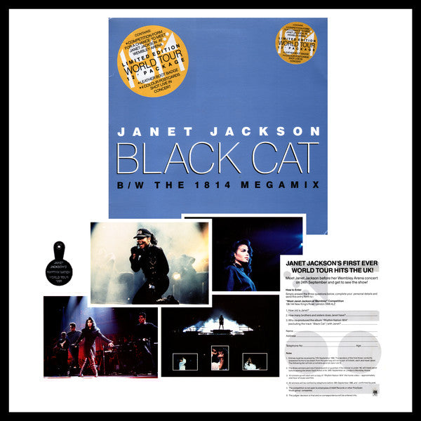 Black Cat Janet Jackson