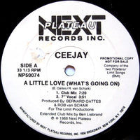 Rectangle Triangle A Little Love vinyl record titled "What's Going On" with colorful album cover art.
