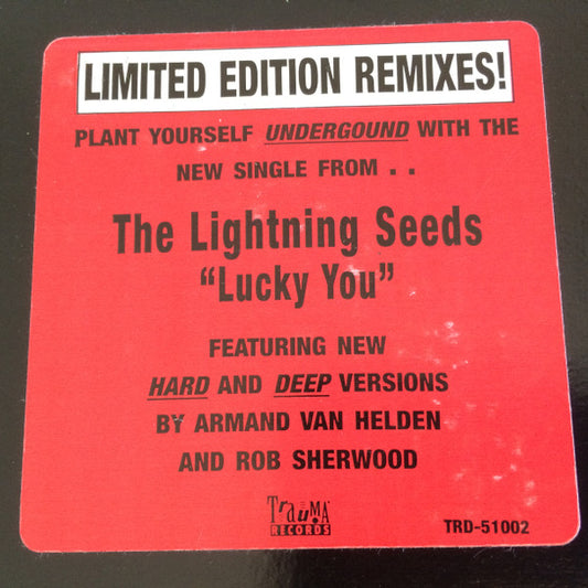 Lucky You