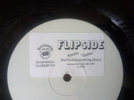 Gypsy (The Fred Everything Mixes)