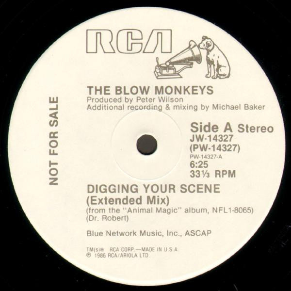 Digging Your Scene The Blow Monkeys