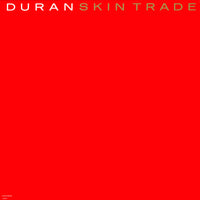 Close-up of the Skin Trade 2 game box by Rectangle Triangle showing cover art and title on a white background.