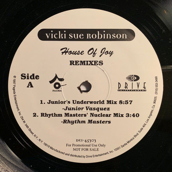 House Of Joy Vicki Sue Robinson