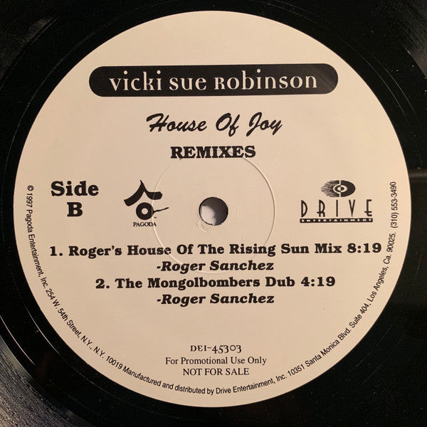 House Of Joy Vicki Sue Robinson