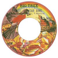 Hot - Angel In Your Arms