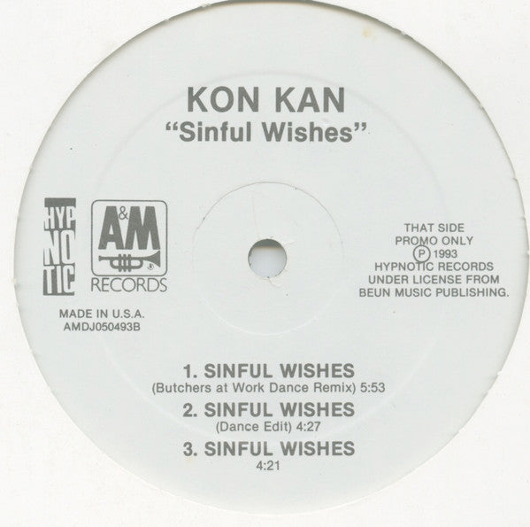 Sinful Wishes