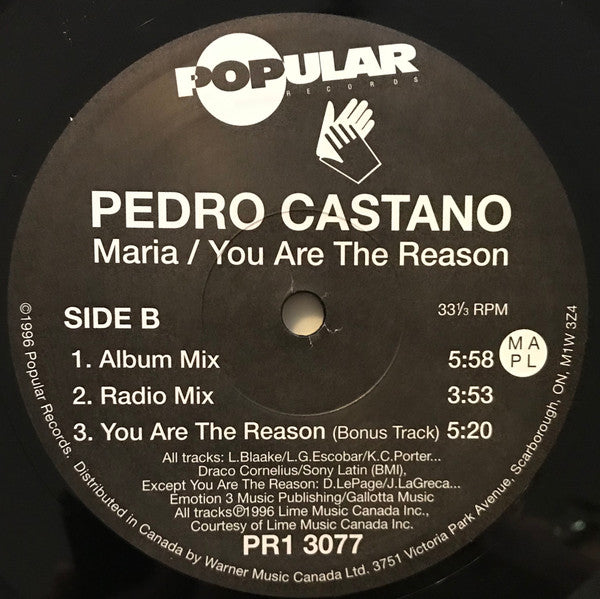 Maria / You Are The Reason Pedro Castaño