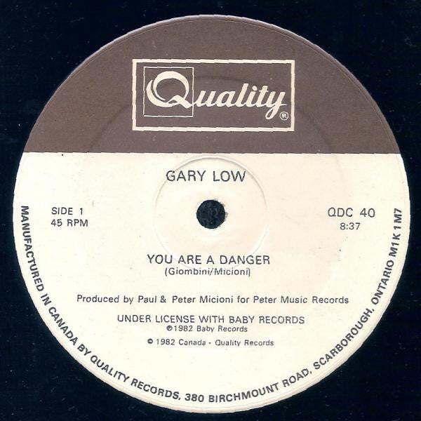 You Are A Danger Gary Low