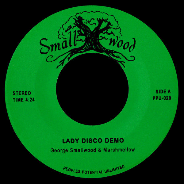 Lady Disco Demo / Roller Coaster Demo George Smallwood,Marshmellow