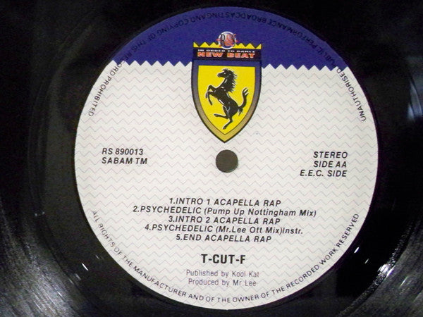 Searching / Psychedelic 2 T-CUT-F