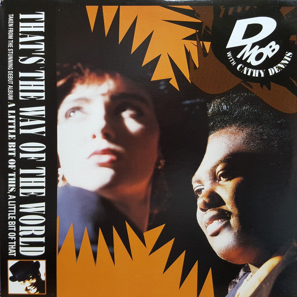 That's The Way Of The World D Mob,Cathy Dennis