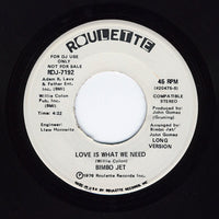 Bimbo Jet (2) - Love Is What We Need