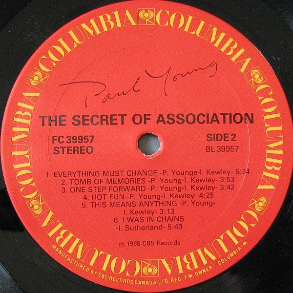 The Secret Of Association Paul Young
