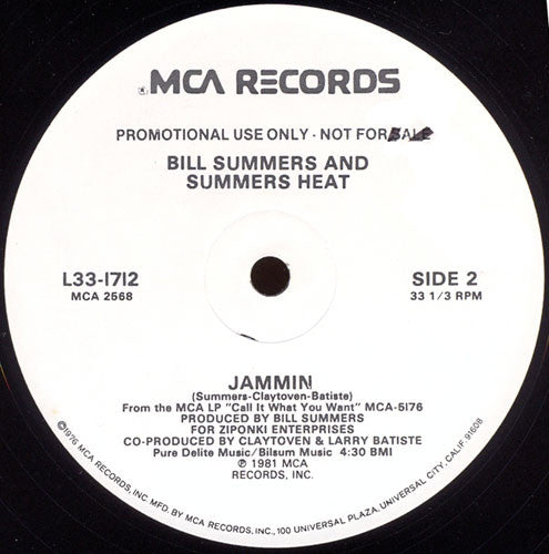 Call It What You Want / Jammin Bill Summers & Summers Heat