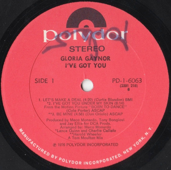 I've Got You Gloria Gaynor