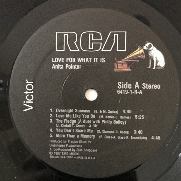 Love For What It Is Anita Pointer