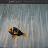 Record by Rectangle Triangle featuring a swimmer illustration, showcasing vibrant artwork on a modern record album cover.