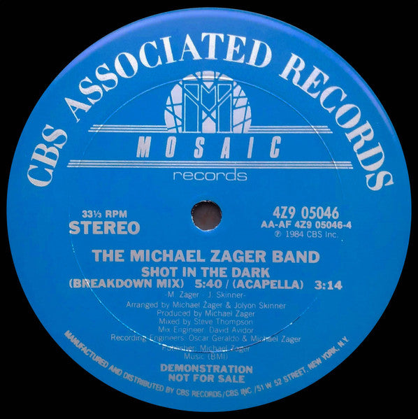 Shot In The Dark The Michael Zager Band