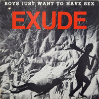 A humorous graphic t-shirt for boys by Rectangle Triangle featuring the phrase "Boys Just Want To Have Sex" in bold text.