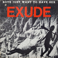 Rectangle Triangle Boys Just Want To Have Sex album cover art featuring bold text and vibrant design elements.