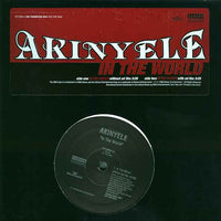 Akinyele - In The World, 12" vinyl, on BMG (1996)
