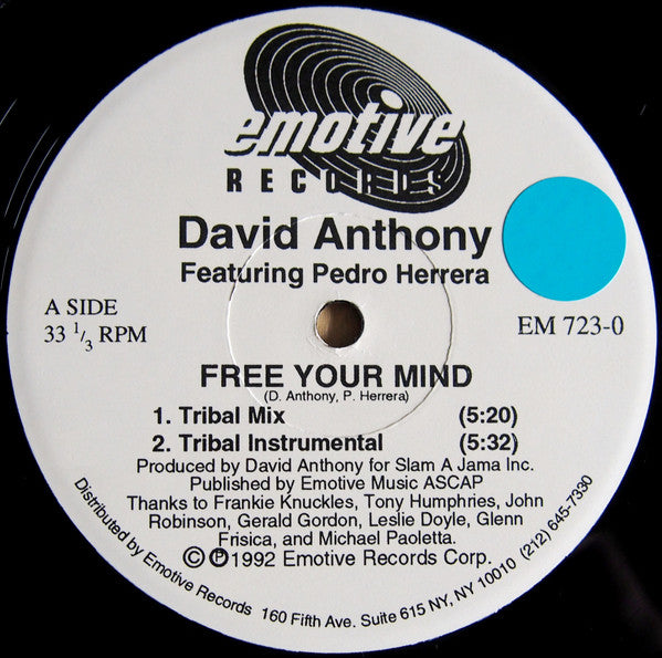 Free Your Mind David Anthony,Pedro Herrera