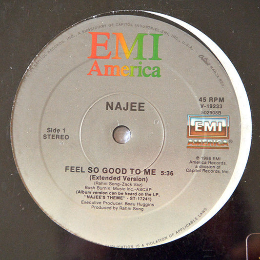 Najee - Feel So Good To Me