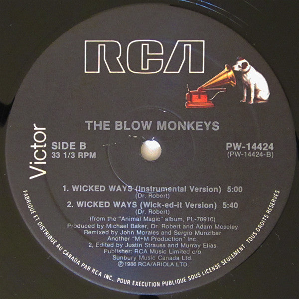 Wicked Ways The Blow Monkeys