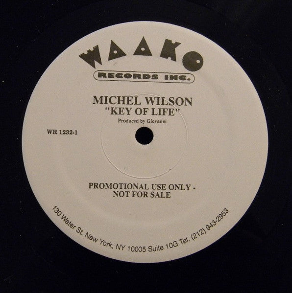 Key Of Life Michelle Wilson