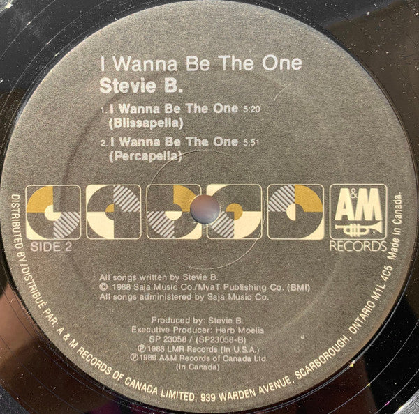 I Wanna Be The One
