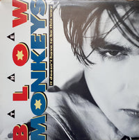The Blow Monkeys - It Doesn't Have To Be This Way, 12" vinyl, on RCA (1987)