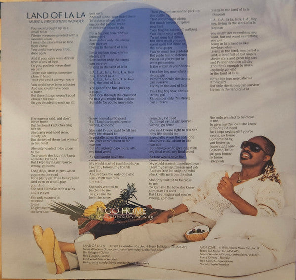 In Square Circle Stevie Wonder