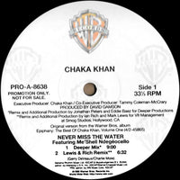 Chaka Khan - Never Miss The Water, 12" vinyl, on Warner Bros. Records (1996)